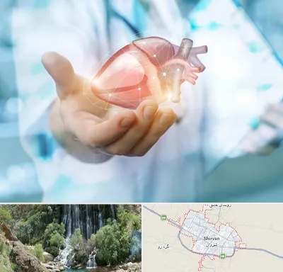 دکتر الکتروفیزیولوژی بالینی قلب در شیروان