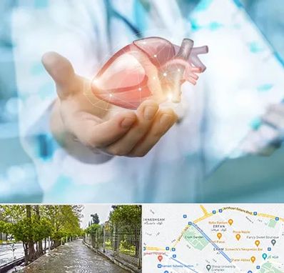 دکتر الکتروفیزیولوژی بالینی قلب در خیابان ارم شیراز 