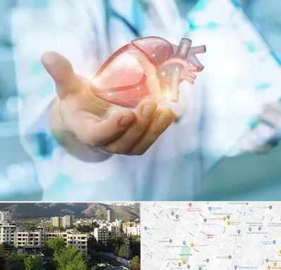 دکتر الکتروفیزیولوژی بالینی قلب در دیباجی