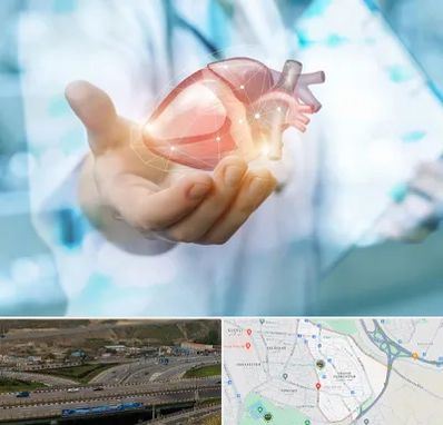 دکتر الکتروفیزیولوژی بالینی قلب در یاغچیان تبریز 