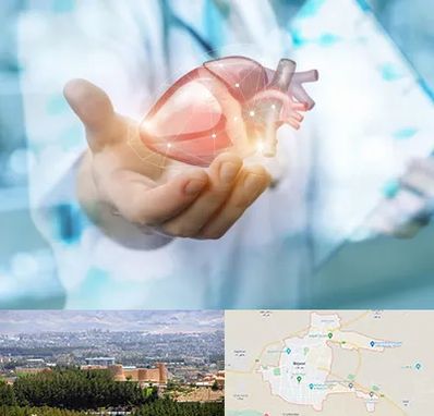 دکتر الکتروفیزیولوژی بالینی قلب در بیرجند