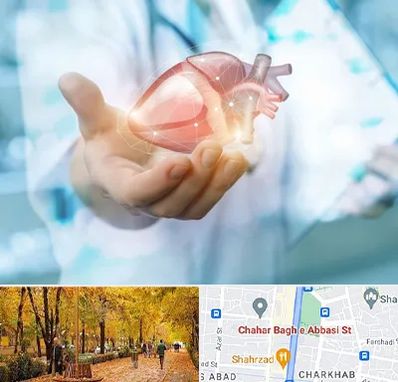 دکتر الکتروفیزیولوژی بالینی قلب در چهارباغ اصفهان 