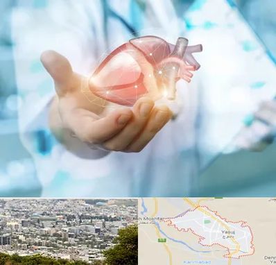دکتر الکتروفیزیولوژی بالینی قلب در یاسوج