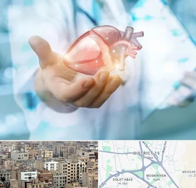دکتر الکتروفیزیولوژی بالینی قلب در جنوب شرق تهران