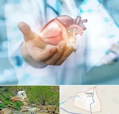 دکتر الکتروفیزیولوژی بالینی قلب در کردان
