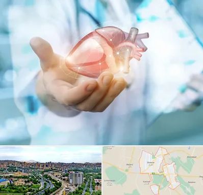 دکتر الکتروفیزیولوژی بالینی قلب در شهریار