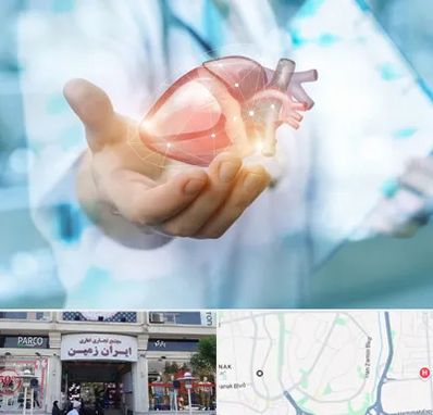 دکتر الکتروفیزیولوژی بالینی قلب در ایران زمین