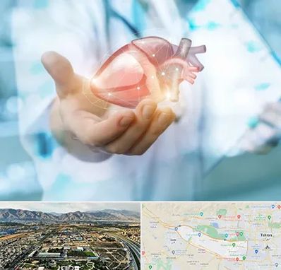 دکتر الکتروفیزیولوژی بالینی قلب در منطقه 21 تهران