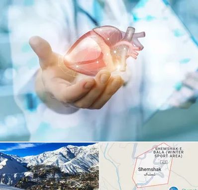 دکتر الکتروفیزیولوژی بالینی قلب در شمشک