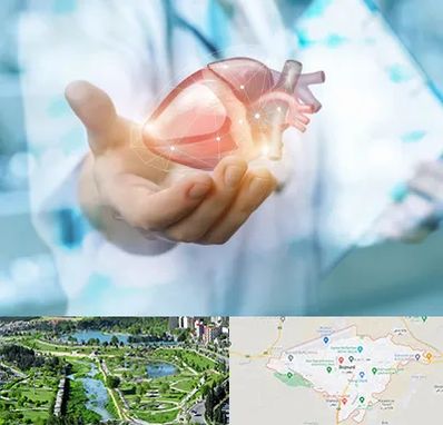 دکتر الکتروفیزیولوژی بالینی قلب در بجنورد