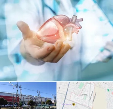 دکتر الکتروفیزیولوژی بالینی قلب در فاز دو اندیشه
