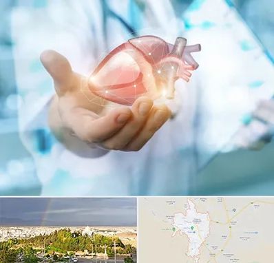 دکتر الکتروفیزیولوژی بالینی قلب در تربت حیدریه