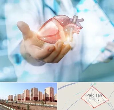 دکتر الکتروفیزیولوژی بالینی قلب در پردیسان قم 