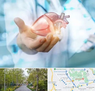 دکتر الکتروفیزیولوژی بالینی قلب در قدوسی غربی شیراز 