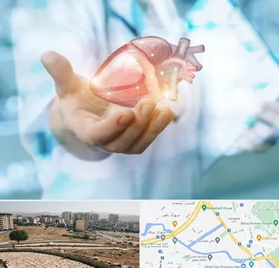 دکتر الکتروفیزیولوژی بالینی قلب در کوی وحدت شیراز 