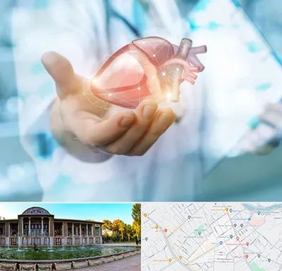 دکتر الکتروفیزیولوژی بالینی قلب در عفیف آباد شیراز 