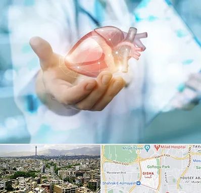 دکتر الکتروفیزیولوژی بالینی قلب در گیشا 