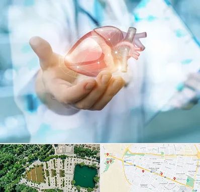 دکتر الکتروفیزیولوژی بالینی قلب در وکیل آباد مشهد 