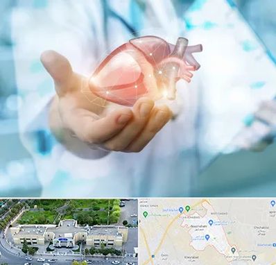 دکتر الکتروفیزیولوژی بالینی قلب در نسیم شهر