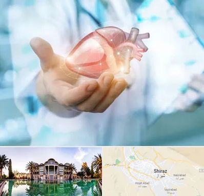 دکتر الکتروفیزیولوژی بالینی قلب در شیراز