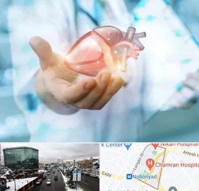 دکتر الکتروفیزیولوژی بالینی قلب در اقدسیه 