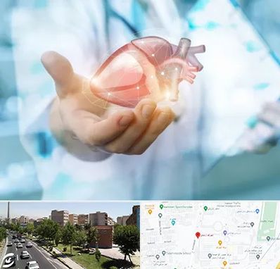 دکتر الکتروفیزیولوژی بالینی قلب در شهرک آزمایش
