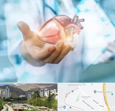 دکتر الکتروفیزیولوژی بالینی قلب در شهر زیبا