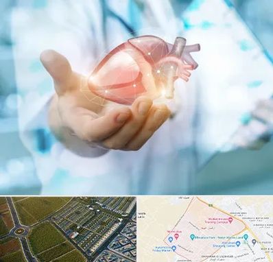 دکتر الکتروفیزیولوژی بالینی قلب در الهیه مشهد 