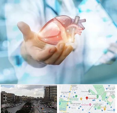 دکتر الکتروفیزیولوژی بالینی قلب در بلوار فردوسی مشهد 