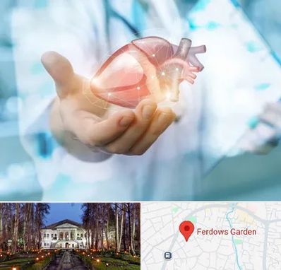 دکتر الکتروفیزیولوژی بالینی قلب در باغ فردوس