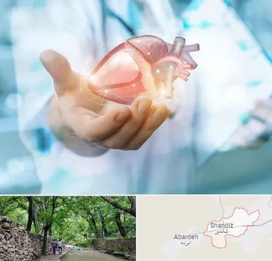 دکتر الکتروفیزیولوژی بالینی قلب در شاندیز مشهد 