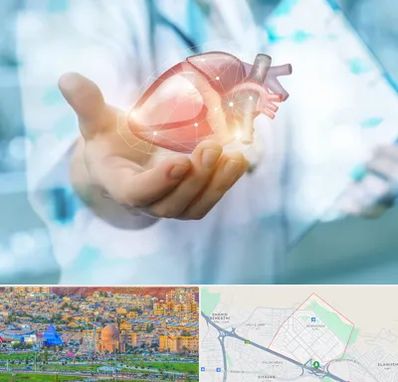 دکتر الکتروفیزیولوژی بالینی قلب در رشدیه تبریز 