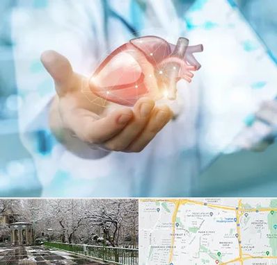 دکتر الکتروفیزیولوژی بالینی قلب در باغ فیض 