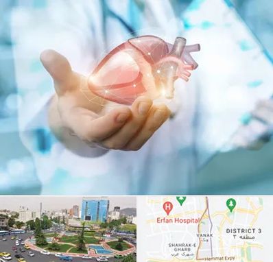 دکتر الکتروفیزیولوژی بالینی قلب در ونک