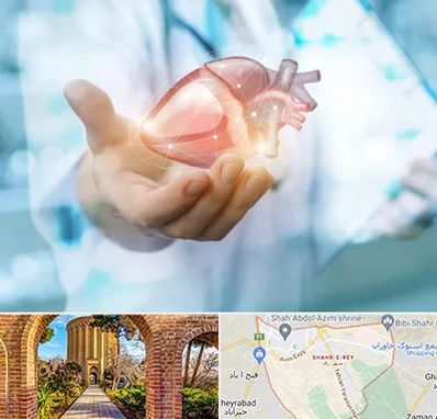 دکتر الکتروفیزیولوژی بالینی قلب در شهر ری