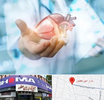 دکتر الکتروفیزیولوژی بالینی قلب در امین حضور