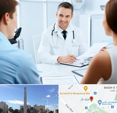 دکتر ناباروری مردان در فلکه گاز شیراز 