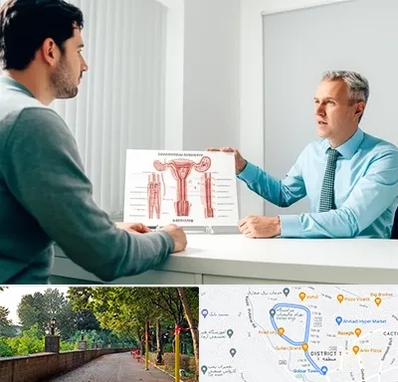 جراح واریکوسل در بلوار گیلان رشت 