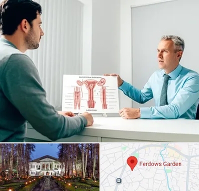 جراح واریکوسل در باغ فردوس 