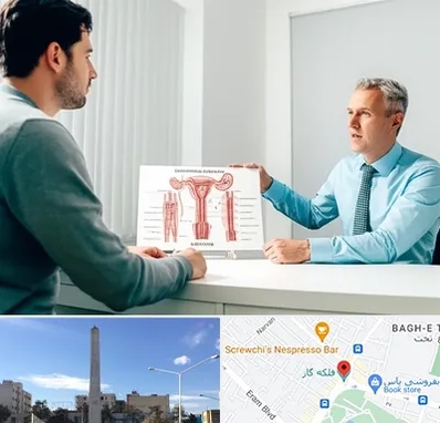 جراح واریکوسل در فلکه گاز شیراز 