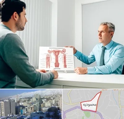 جراح واریکوسل در محمودیه