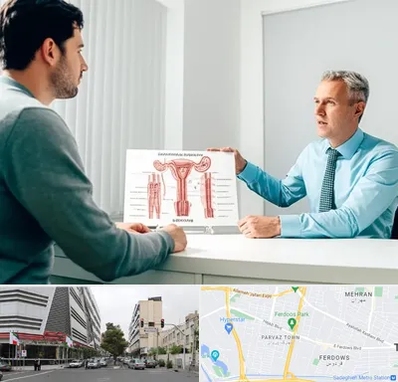 جراح واریکوسل در بلوار فردوس