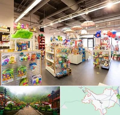 فروشگاه اسباب بازی در فومن