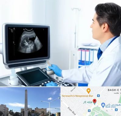 دکتر فوق تخصص پروستات در فلکه گاز شیراز 