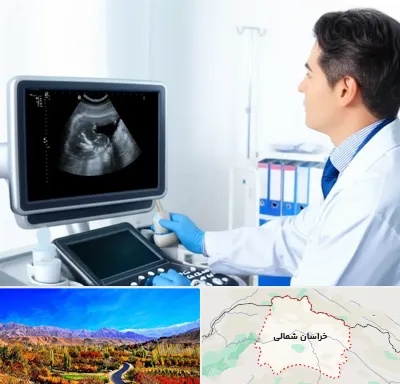 دکتر فوق تخصص پروستات در خراسان شمالی