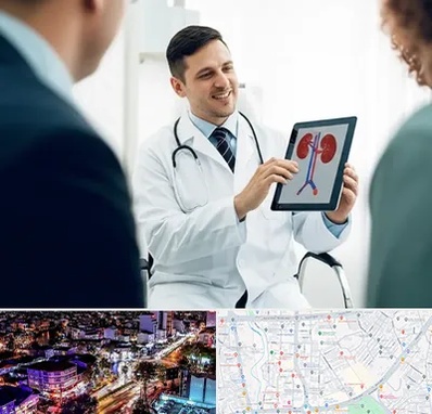 دکتر فوق تخصص سنگ کلیه در منظریه رشت 