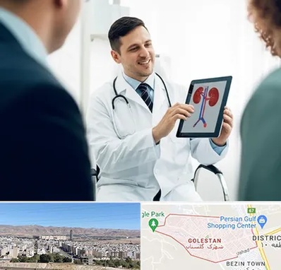 دکتر فوق تخصص سنگ کلیه در شهرک گلستان شیراز 
