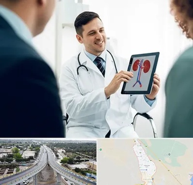 دکتر فوق تخصص سنگ کلیه در اندیمشک