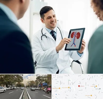 دکتر فوق تخصص سنگ کلیه در دولت 