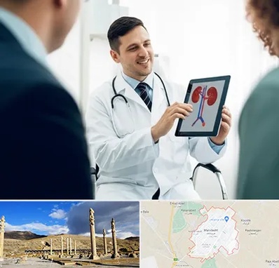 دکتر فوق تخصص سنگ کلیه در مرودشت